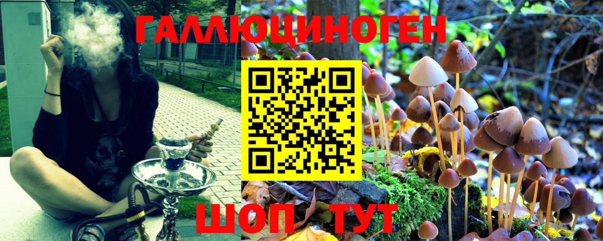 купить наркотики сайты  Псилоцибиновые грибы Cubensis  Нововоронеж  Вход с VPN  Галлюциногенные грибы ЛСД 