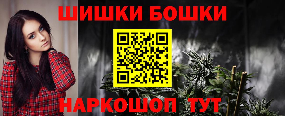 Каннабис планчик Нововоронеж