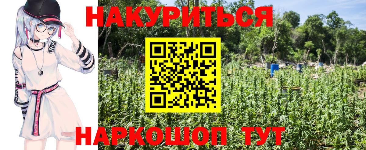 Шишки марихуана White Widow  Вход с VPN  Нововоронеж  Конопля MAZAR  Бошки Шишки ГИДРОПОН  Марихуана White Widow 